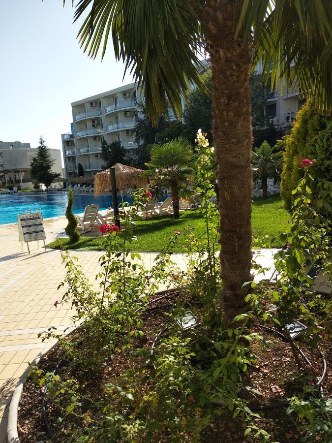 Sunny Relax & *